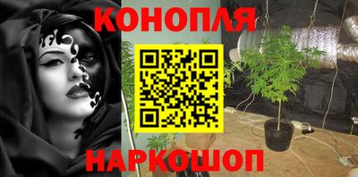 apvp Ярославль