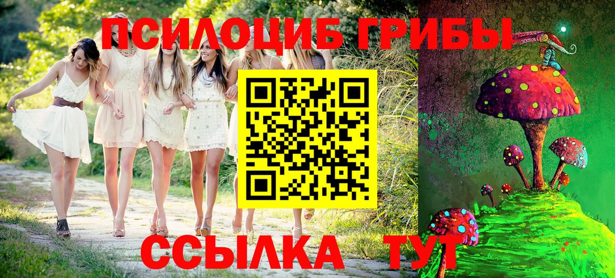 Псилоцибиновые грибы Cubensis Ачинск
